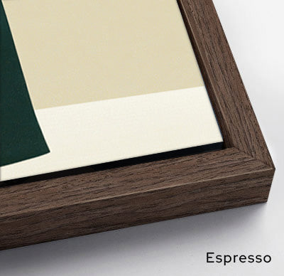 Chromatic Migration - Framed Canvas Print